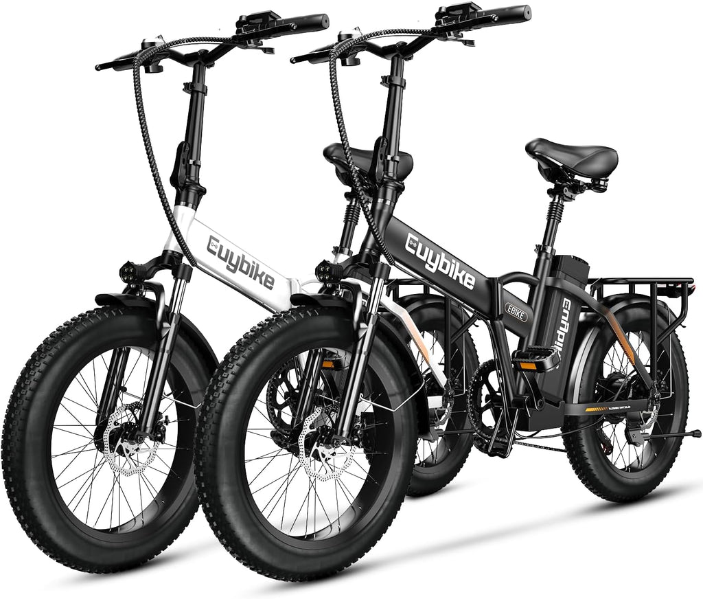bluebiko 1000W Folding Electric Bike, 48V 20AH Large Removable Battery E Bike, 80 Miles Max Range, 20' Fat Tire Electric Bike for Adults, Adult Electric Bicycles for Commute Beach Snow
