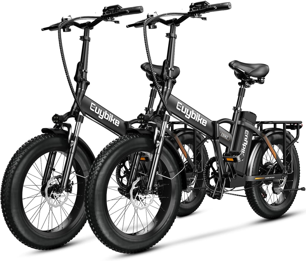 bluebiko 1000W Folding Electric Bike, 48V 20AH Large Removable Battery E Bike, 80 Miles Max Range, 20' Fat Tire Electric Bike for Adults, Adult Electric Bicycles for Commute Beach Snow