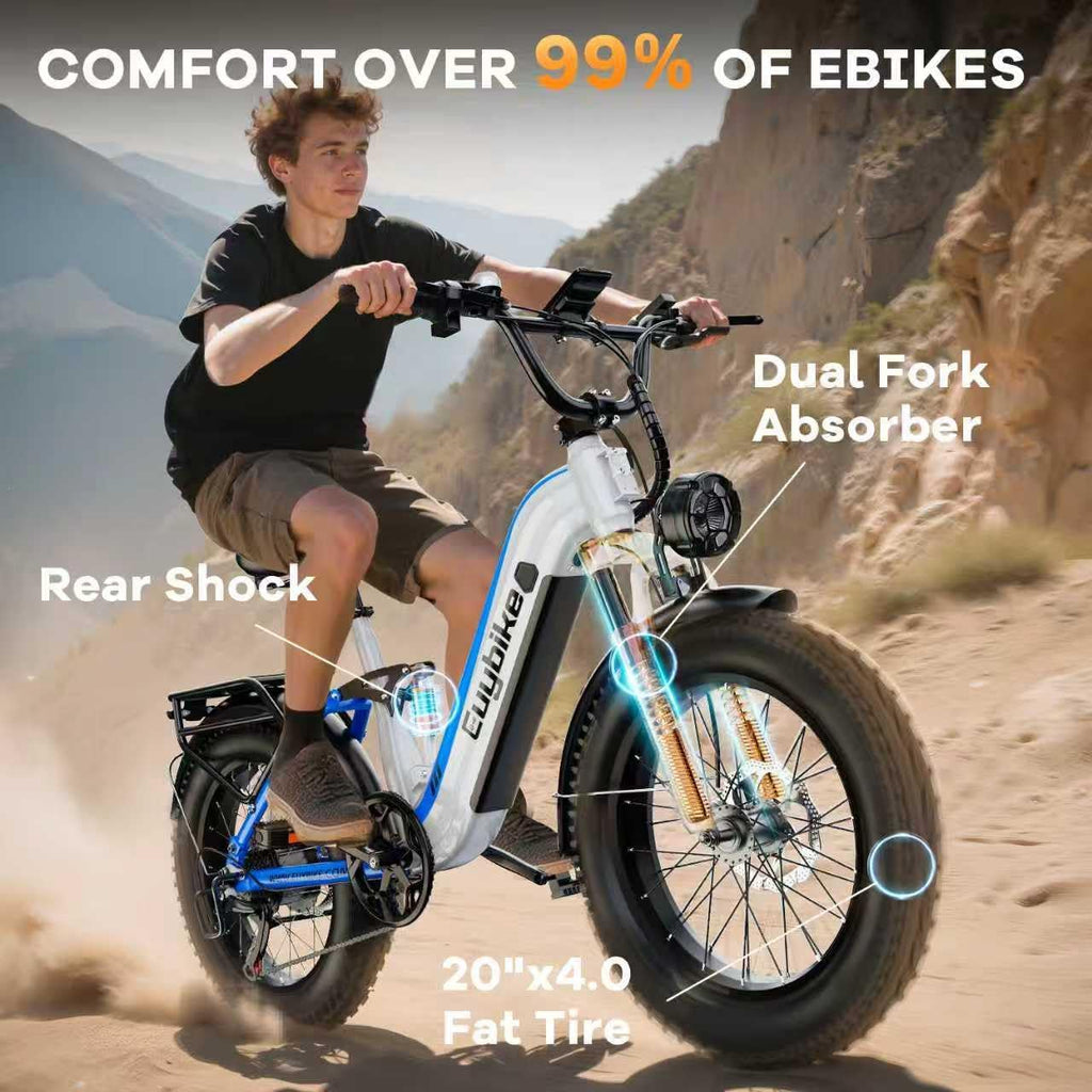 1500W Electric Bike for Adults,48V 20/25/60Ah Removable Battery Max Range 80Miles Electric Bicycle,20''×4' Fat Tire Ebike,Adult Electric Bicycles for Commute Beach Snow,E-Bike UL Certified