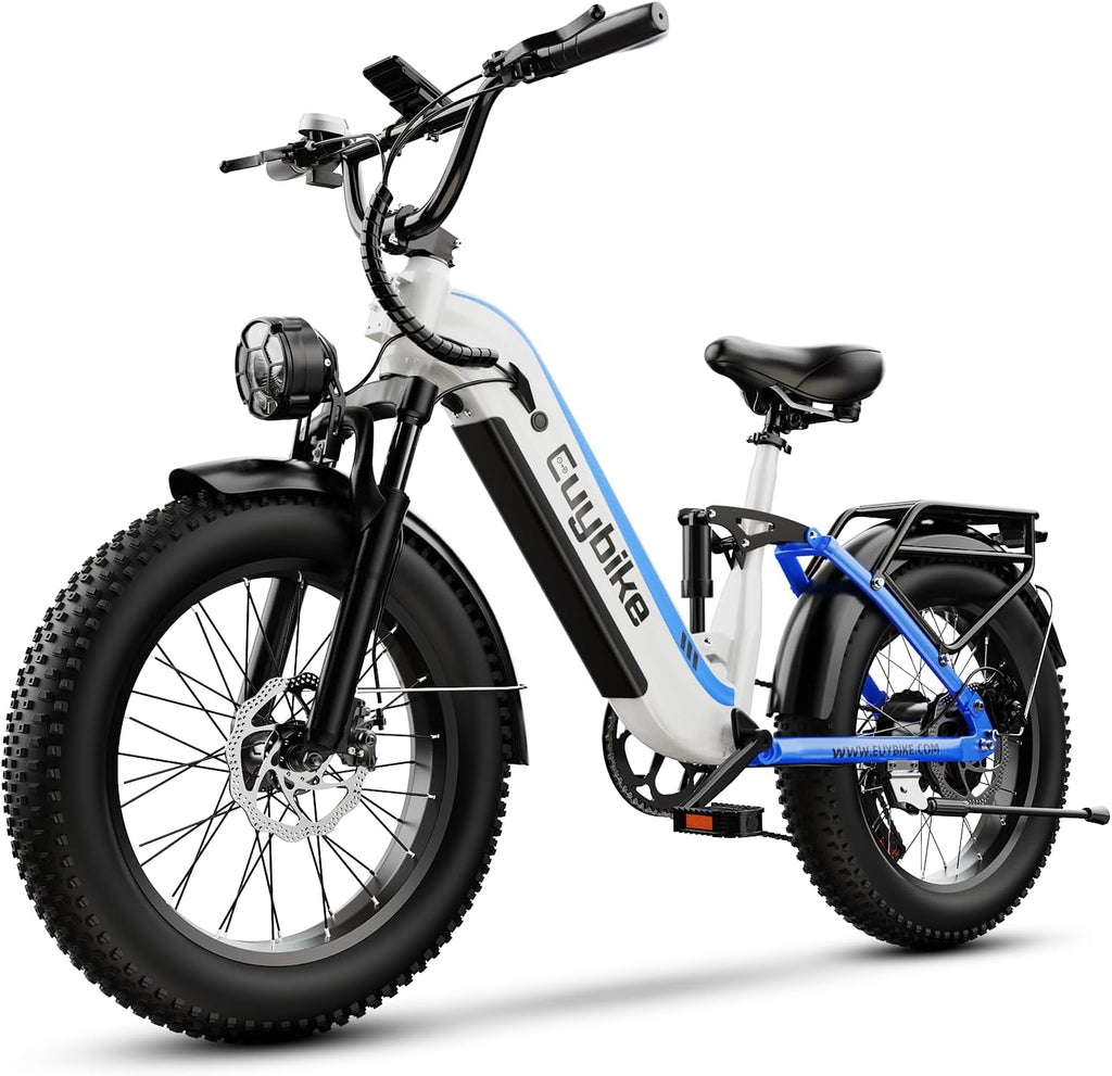 1500W Electric Bike for Adults,48V 20/25/60Ah Removable Battery Max Range 80Miles Electric Bicycle,20''×4' Fat Tire Ebike,Adult Electric Bicycles for Commute Beach Snow,E-Bike UL Certified