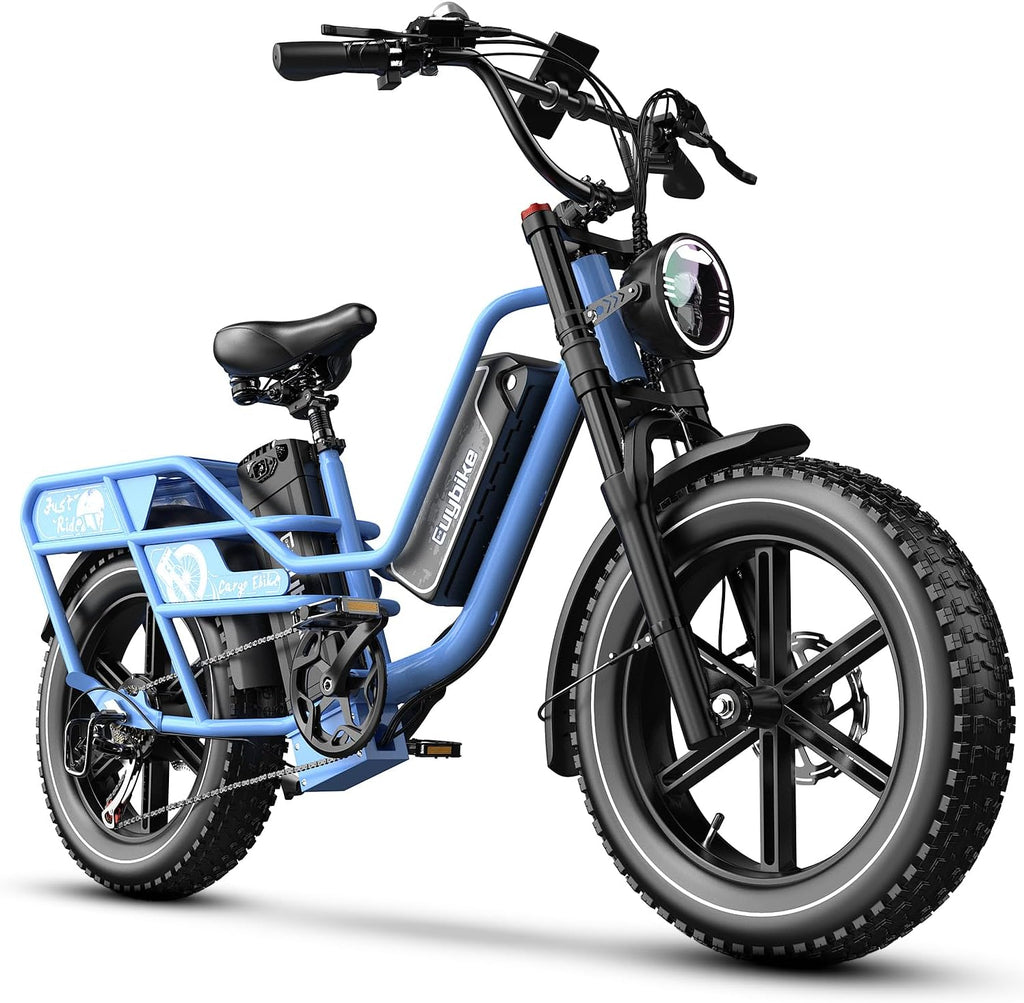 1500W Electric Bike for Adults,48V 20/25/60Ah Removable Battery Max Range 80Miles Electric Bicycle,20''×4' Fat Tire Ebike,Adult Electric Bicycles for Commute Beach Snow,E-Bike UL Certified