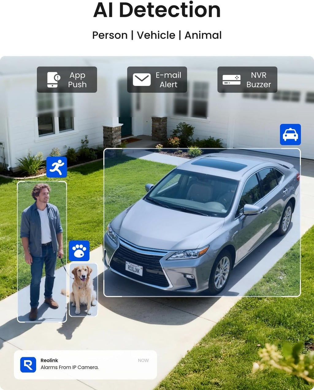 REOLINK 8CH 5MP Home Security Camera System, 6pcs Wired Outdoor PoE IP Cameras with Person/Vehicle/Pet Detection, 4K/8MP 8CH NVR with 2TB HDD for 24-7 Recording, RLK8-410B6-5MP