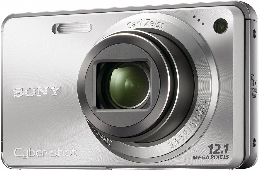 Sony Cyber-shot DSC-W290 12.1 MP Digital Camera with 5x Optical Zoom and Super Steady Shot Image Stabilization (Silver)