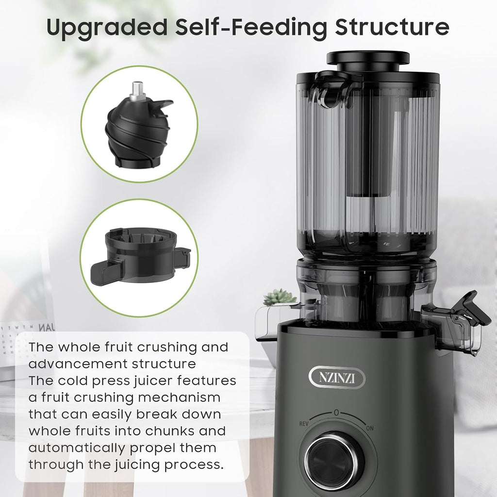 BPA Free Cold Press Juicer, Slow Juicer Machine Easy to Clean, Self-Feeding Masticating Juicer with Large Feed Chute for Whole Fruits and Vegetables, High Juice Yield, Gray