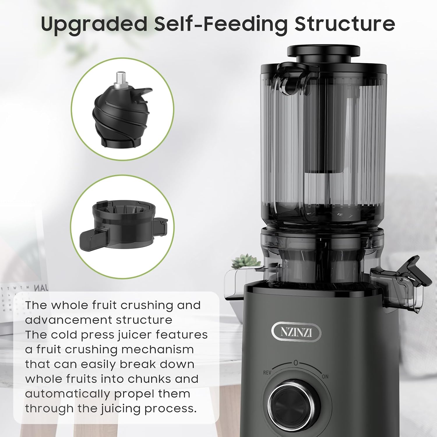 BPA Free Cold Press Juicer, Slow Juicer Machine Easy to Clean, Self-Feeding Masticating Juicer with Large Feed Chute for Whole Fruits and Vegetables, High Juice Yield, Gray