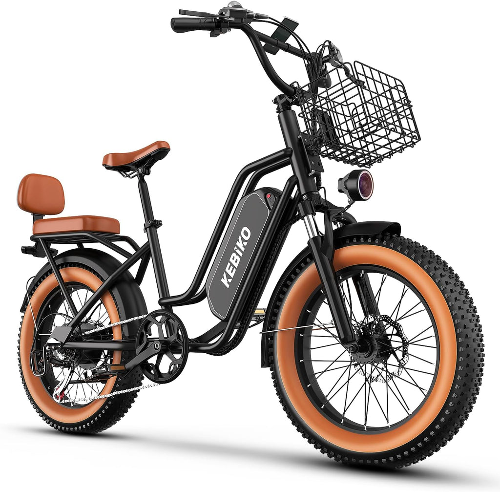 1500W Electric Bike for Adults,48V 20/25/60Ah Removable Battery Max Range 80Miles Electric Bicycle,20''×4' Fat Tire Ebike,Adult Electric Bicycles for Commute Beach Snow,E-Bike UL Certified