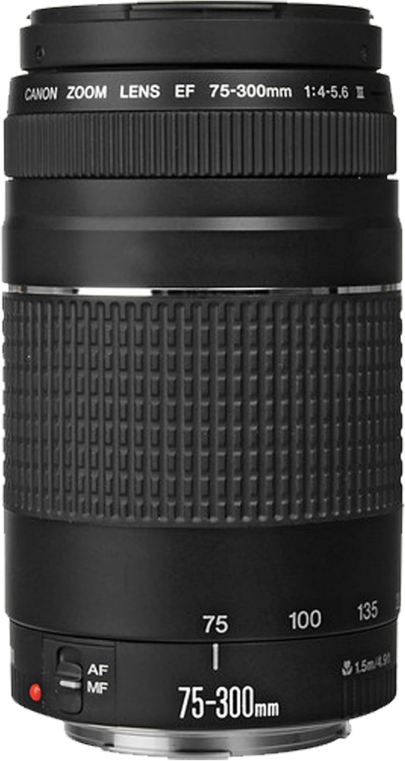 Canon EOS RP Mirrorless Digital Camera 24-50mm and 75-300mm Lenses + 420-800mm Super Telephoto Lens + 128GB Memory, Spare Battery, Filters,Case, Tripod, Flash, and More (43pc Bundle) (Renewed)
