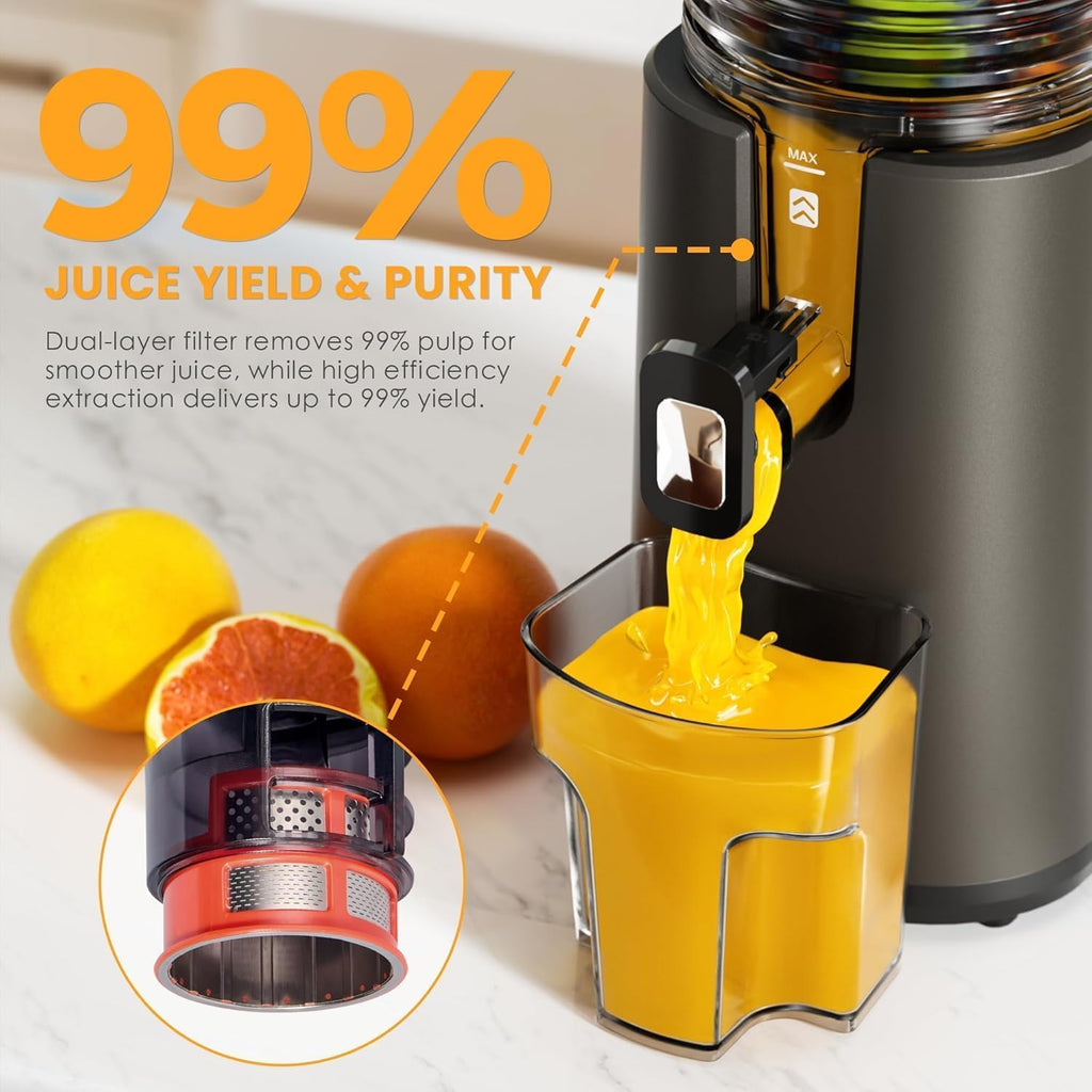 Cold Press Juicer, 5.5inch Wide Feed Chute Juicer Machine, Slow Masticating Juicer for Whole Vegetables & Fruits, Black