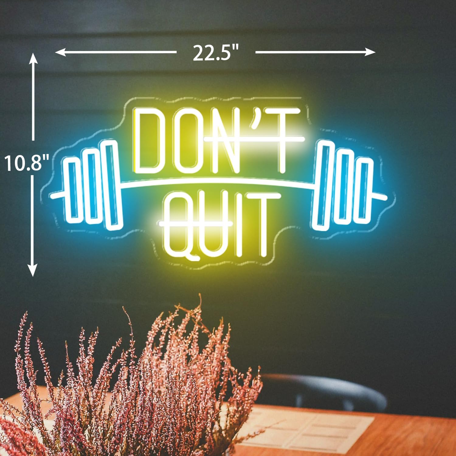DON'T QUIT Neon Sign, Dimmable Neon Signs for Wall Decor, Led Neon Light Sign Gym Decorations, Room Decor for Bedroom, Neon Signs for Man Cave, Office, Birthday Gift for Boyfriend, 22.5x10.8'