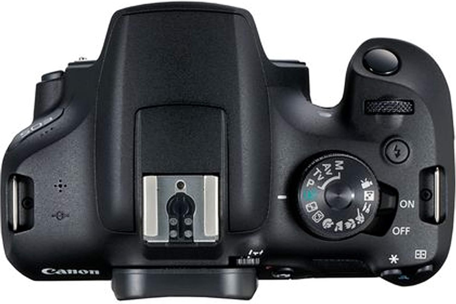 Canon EOS 2000D / Rebel T7 DSLR Camera w/EF-S 18-55mm F/3.5-5.6 Zoom Lens + 64GB Memory, LED Video Light, Case, Gripster Tripod, and More (Essential Bundle) (Renewed)