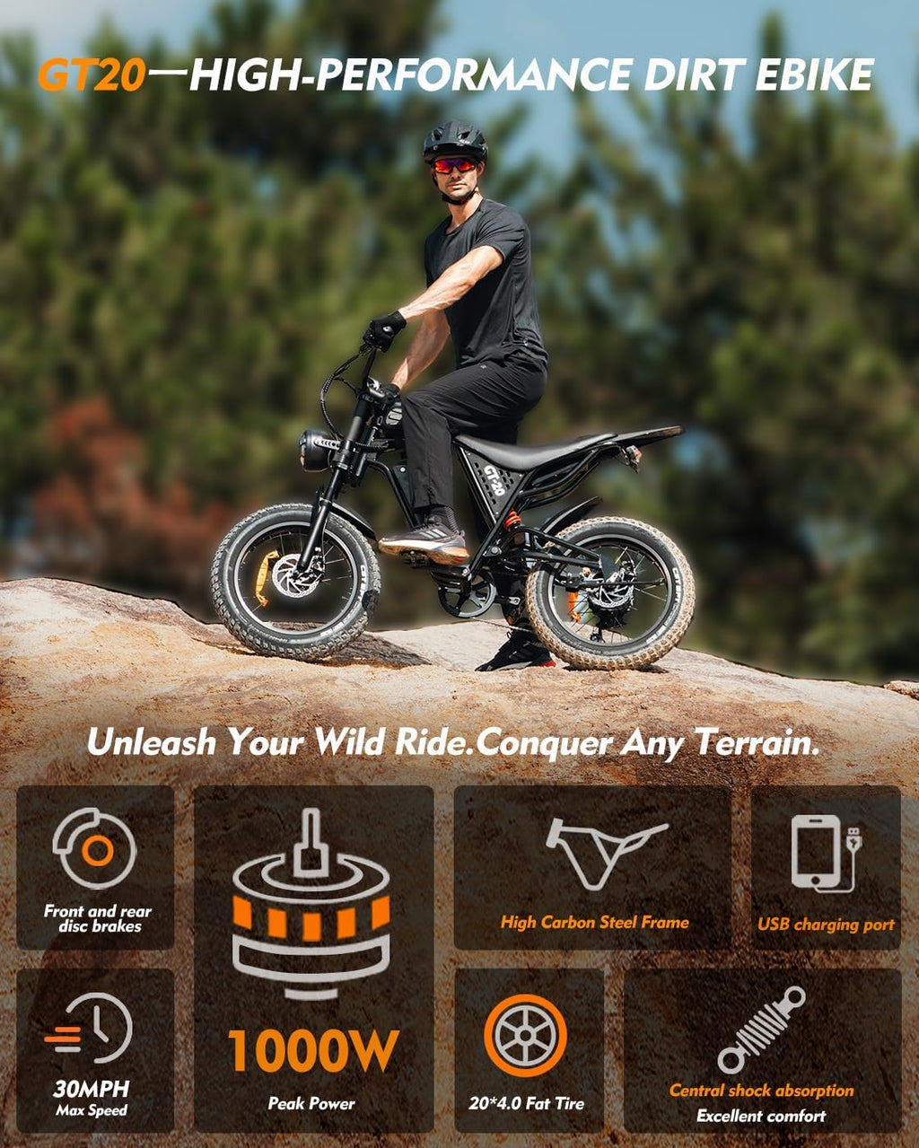 Rakowe Electric Bike for Adults, 1000W-2000W Peak, 20' Fat Tire Electric Dirt Bike, 48V Removable Battery, Up to 30-34MPH & 45-80 Miles, Full Suspension, Dual Disc Brakes, 7-Speed All-Terrain E-Bike