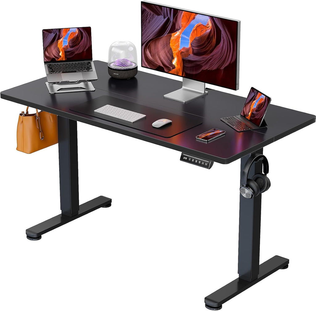 ErGear Height Adjustable Electric Standing Desk, 44 x 24 Inches Sit Stand up Desk, Memory Computer Home Office Desk, Black