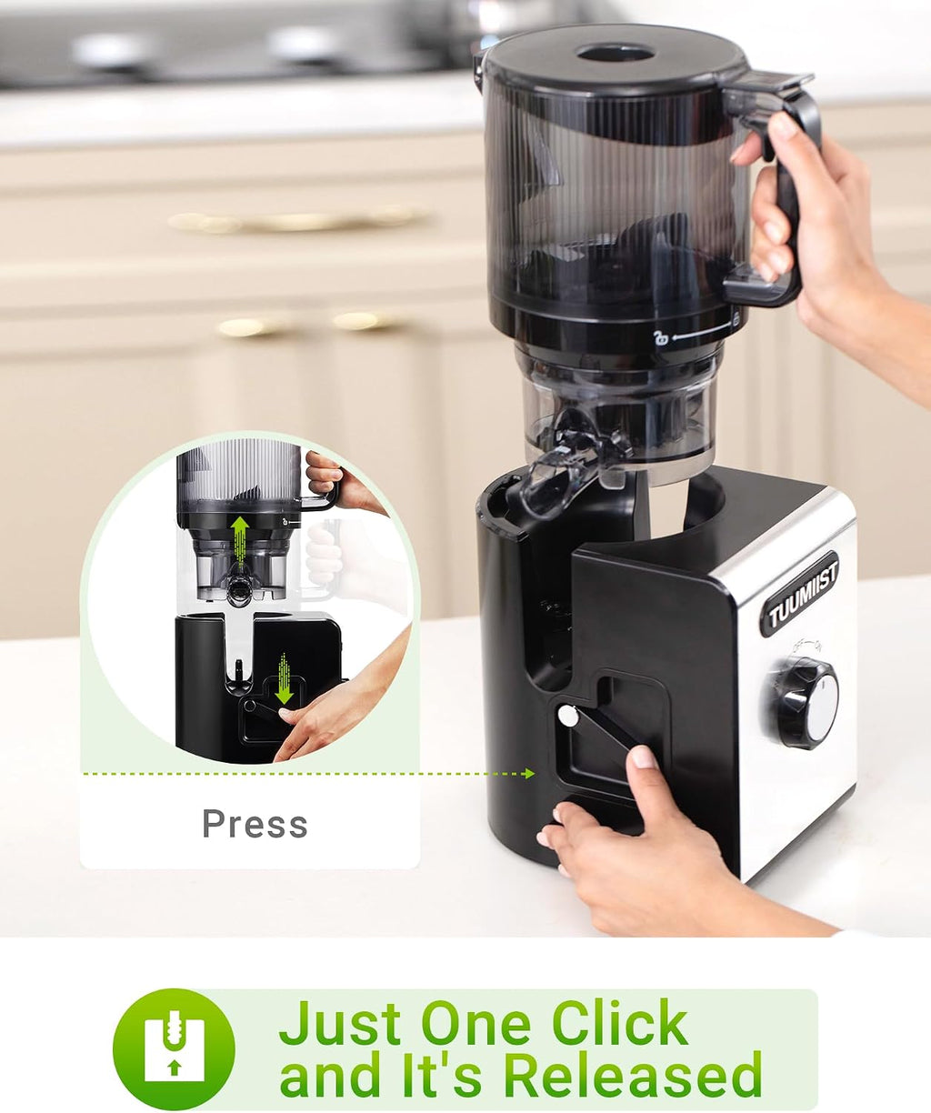 Cold Press Juicer Machine, 6.5' Large Feed Chute Masticating Extractor, Easy to Clean for Whole Fruits & Vegetables, High Yield