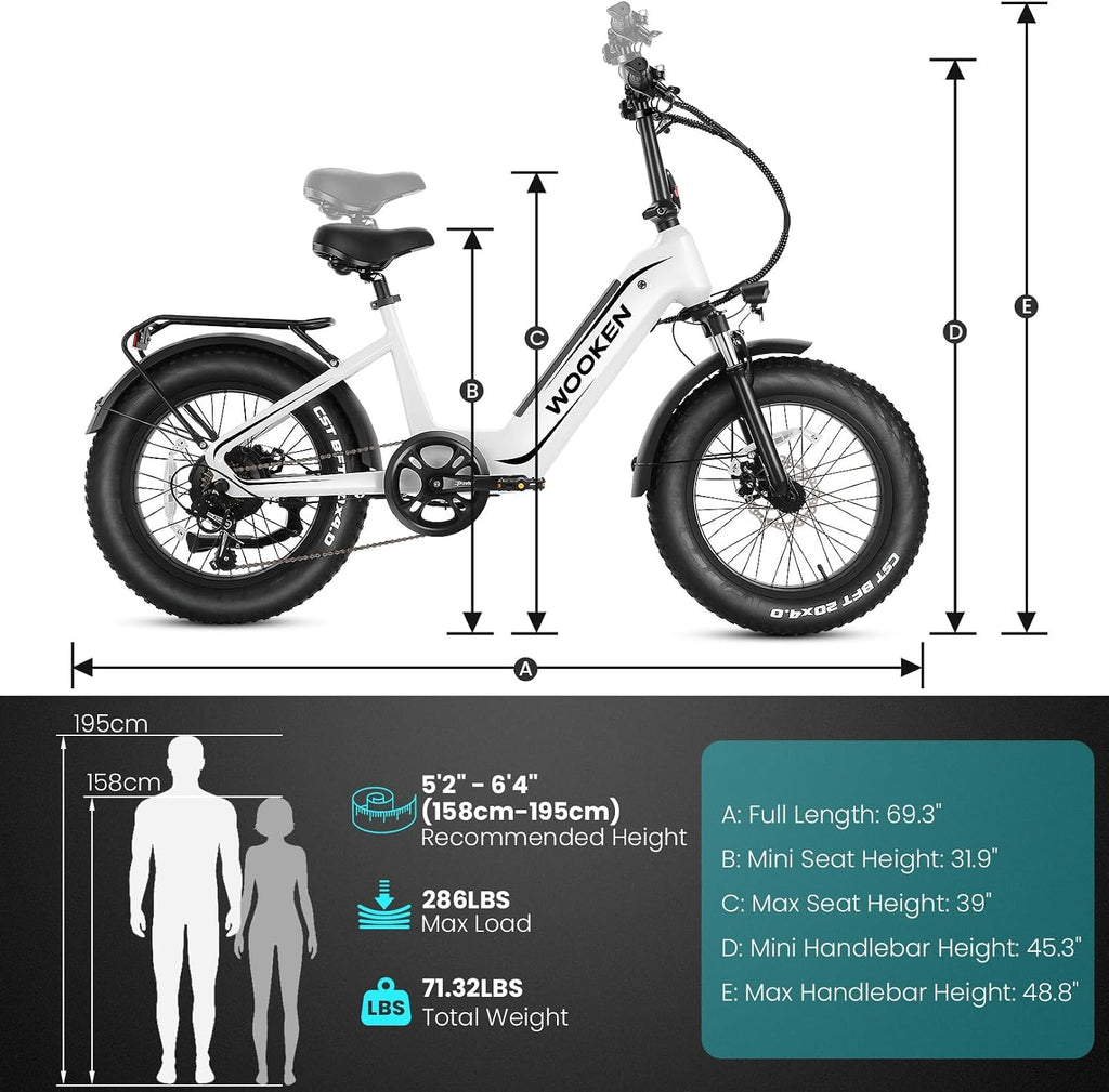 Wooken Electric Bike for Adults, 500W Motor Ebike,20'x4.0' Fat Tire Electric Bike,48V 624WH Removable Lithium-ion Battery,Up to 60 Miles,Step-Thru Electric Mountain Bike,SGS Certified to UL 2849