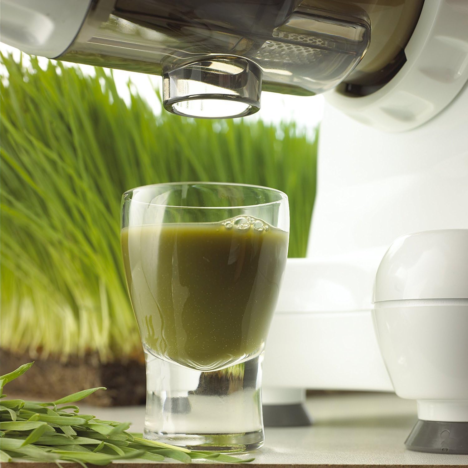 Omega J8004x Nutrition Center Commercial Masticating Juicer, White (Renewed)
