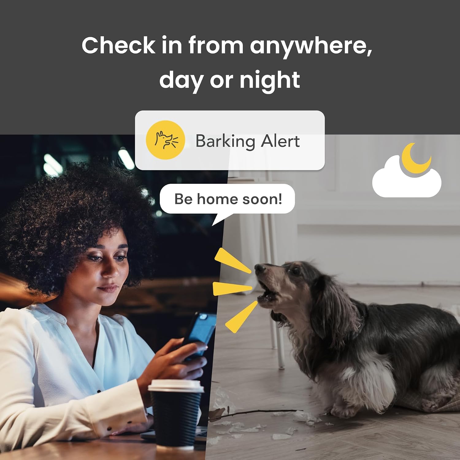 Furbo 360° Dog Camera: Pet Security Cam w/Barking Alerts, Rotating View, Treat Toss w/Phone App, Smart Home Puppy Monitoring, 2-Way Speaker, No Subscription Needed. Standard See, Talk, & Toss Features