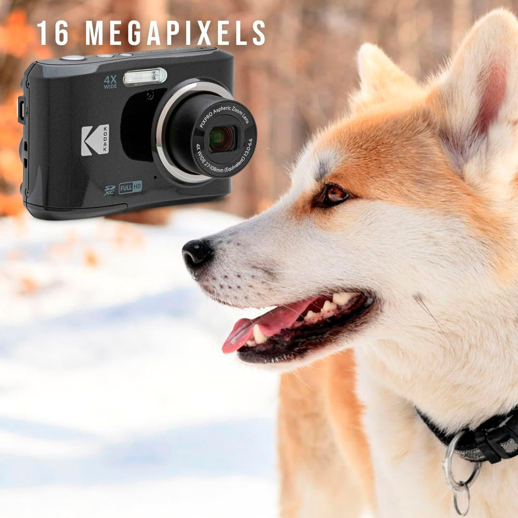 Kodak PIXPRO FZ45 Friendly Zoom Digital Camera (Black) Bundle with Folding Storage Travel Case, 128GB SD Class 10 UHS-I U1 V10 Full HD Memory Card, and Procell AA (4-Pack) (4 Items)