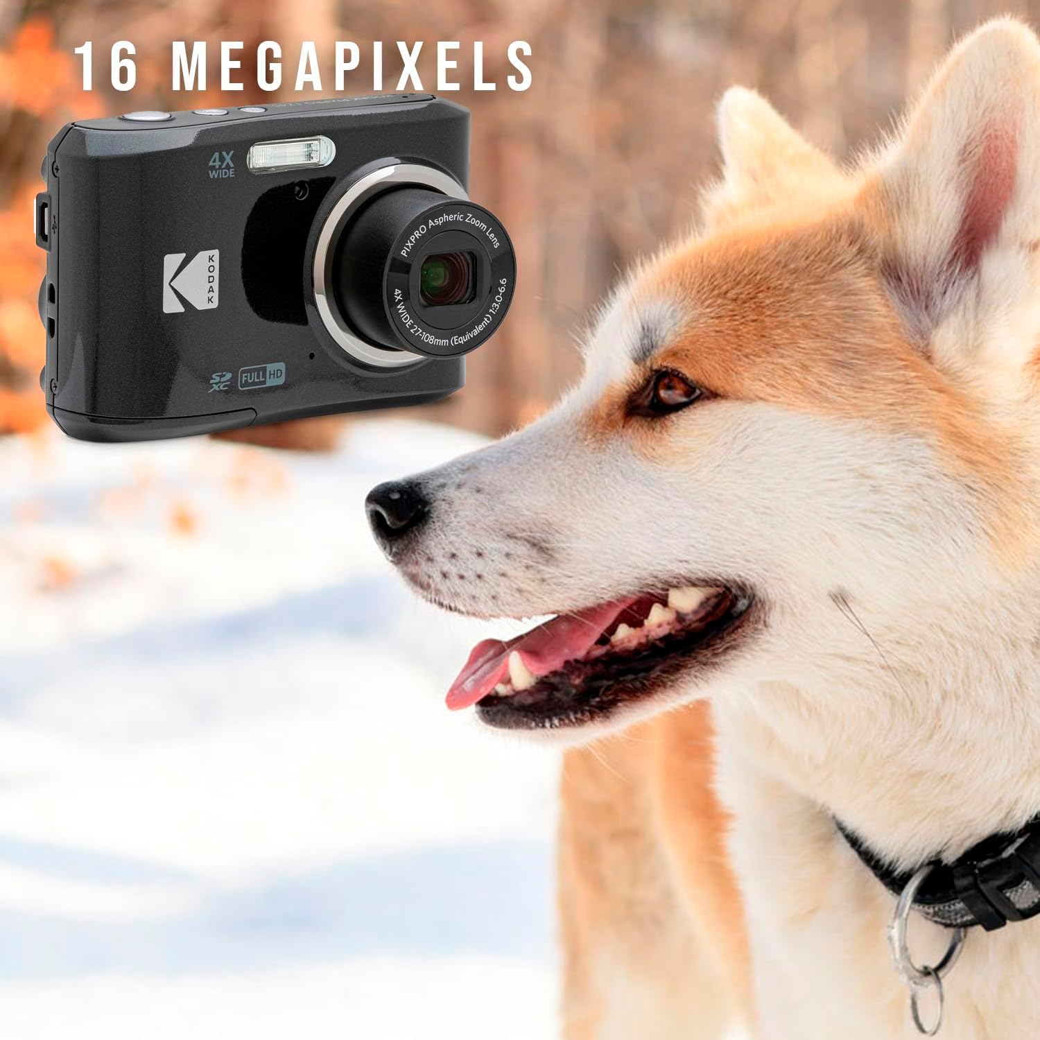 Kodak PIXPRO FZ45 Friendly Zoom Digital Camera (Black) Bundle with Folding Storage Travel Case, 128GB SD Class 10 UHS-I U1 V10 Full HD Memory Card, and Procell AA (4-Pack) (4 Items)