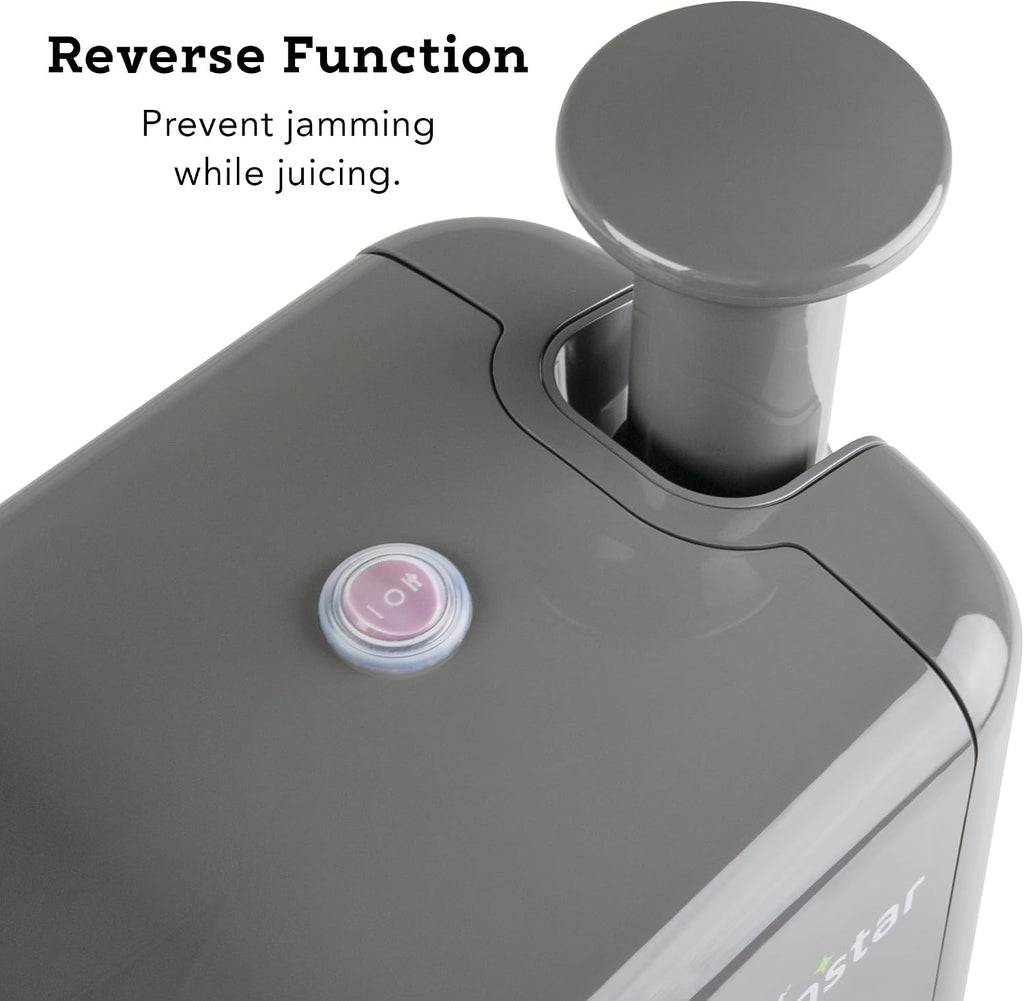 Tribest Greenstar 5 GS5 All Stainless Steel Twin Gear Cold Press Masticating Juicer with Easy Clean Housing, Screen Cleaning Tool and Glass Pitcher, Gray