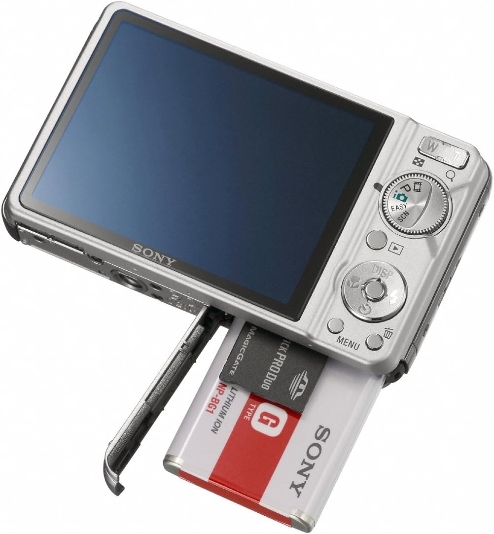 Sony Cyber-shot DSC-W290 12.1 MP Digital Camera with 5x Optical Zoom and Super Steady Shot Image Stabilization (Silver)