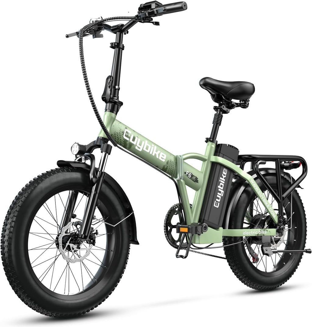 bluebiko 1000W Folding Electric Bike, 48V 20AH Removable Battery E Bike, 70 Miles Max Range, 20' Fat Tire Adults Electric Bike,7-Speed Ebike for City Commuting,Off-Roading,Mountain