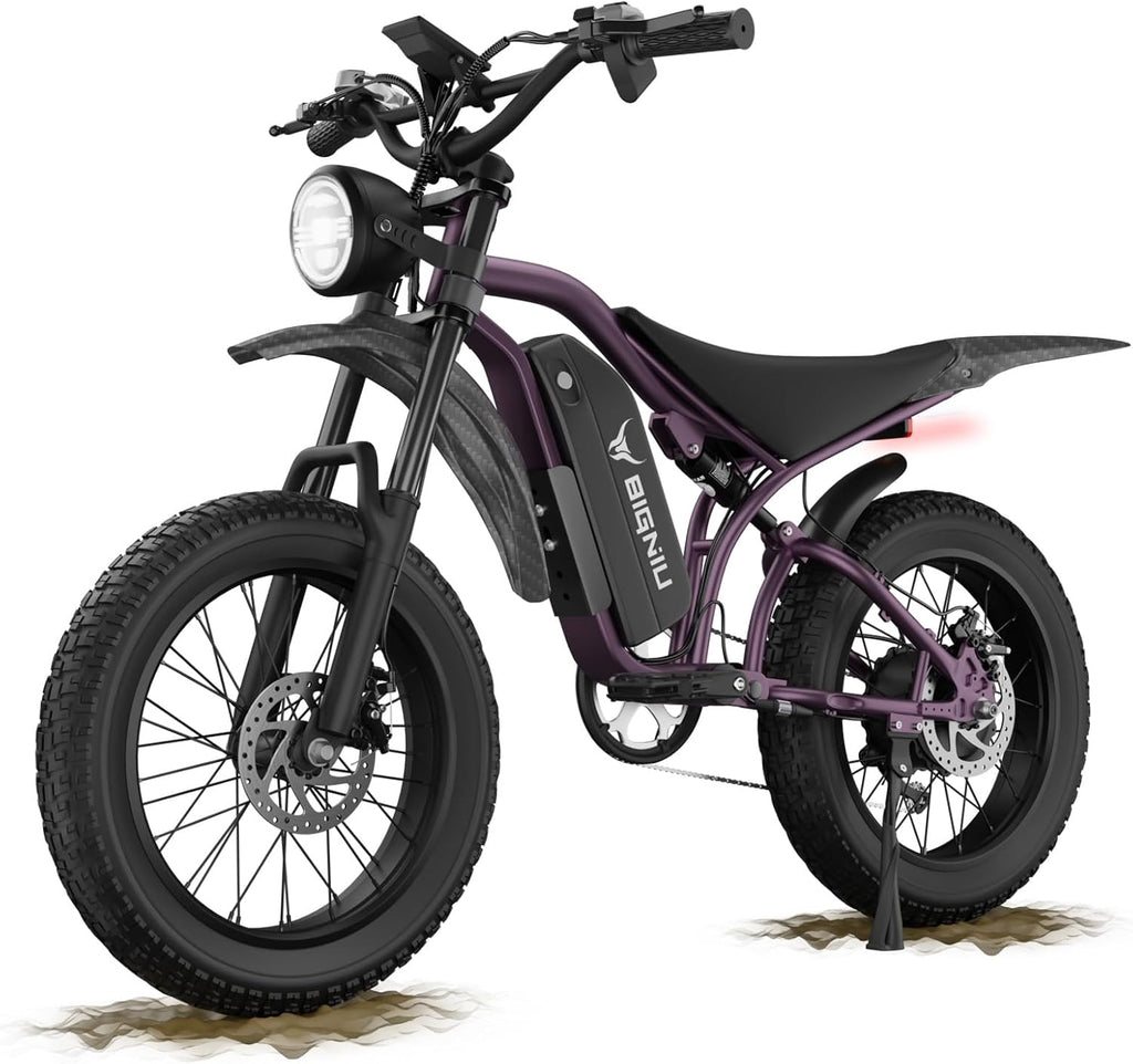 BIGNIU Electric Bike for Adults – 20' Fat Tire, Peak 1200W Motor, 48V 15A Battery, 7-Speed, Dual Disc Brakes for Off-Road and City Riding BG-S