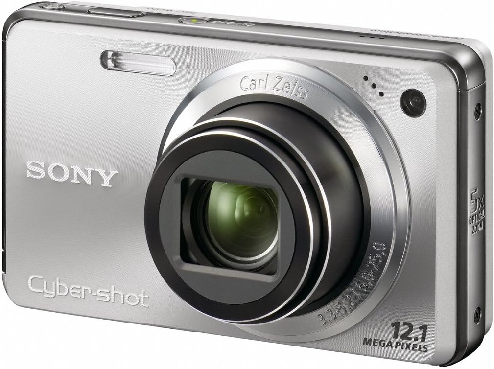 Sony Cyber-shot DSC-W290 12.1 MP Digital Camera with 5x Optical Zoom and Super Steady Shot Image Stabilization (Silver)