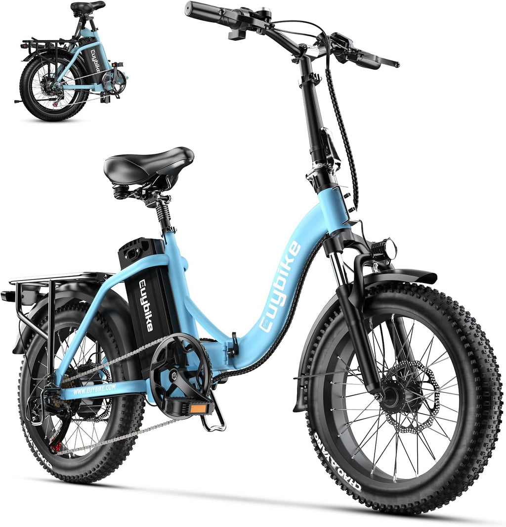 bluebiko 1000W Folding Electric Bike, 48V 20AH Removable Battery E Bike, 70 Miles Max Range, 20' Fat Tire Adults Electric Bike,7-Speed Ebike for City Commuting,Off-Roading,Mountain