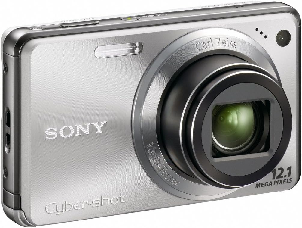 Sony Cyber-shot DSC-W290 12.1 MP Digital Camera with 5x Optical Zoom and Super Steady Shot Image Stabilization (Silver)
