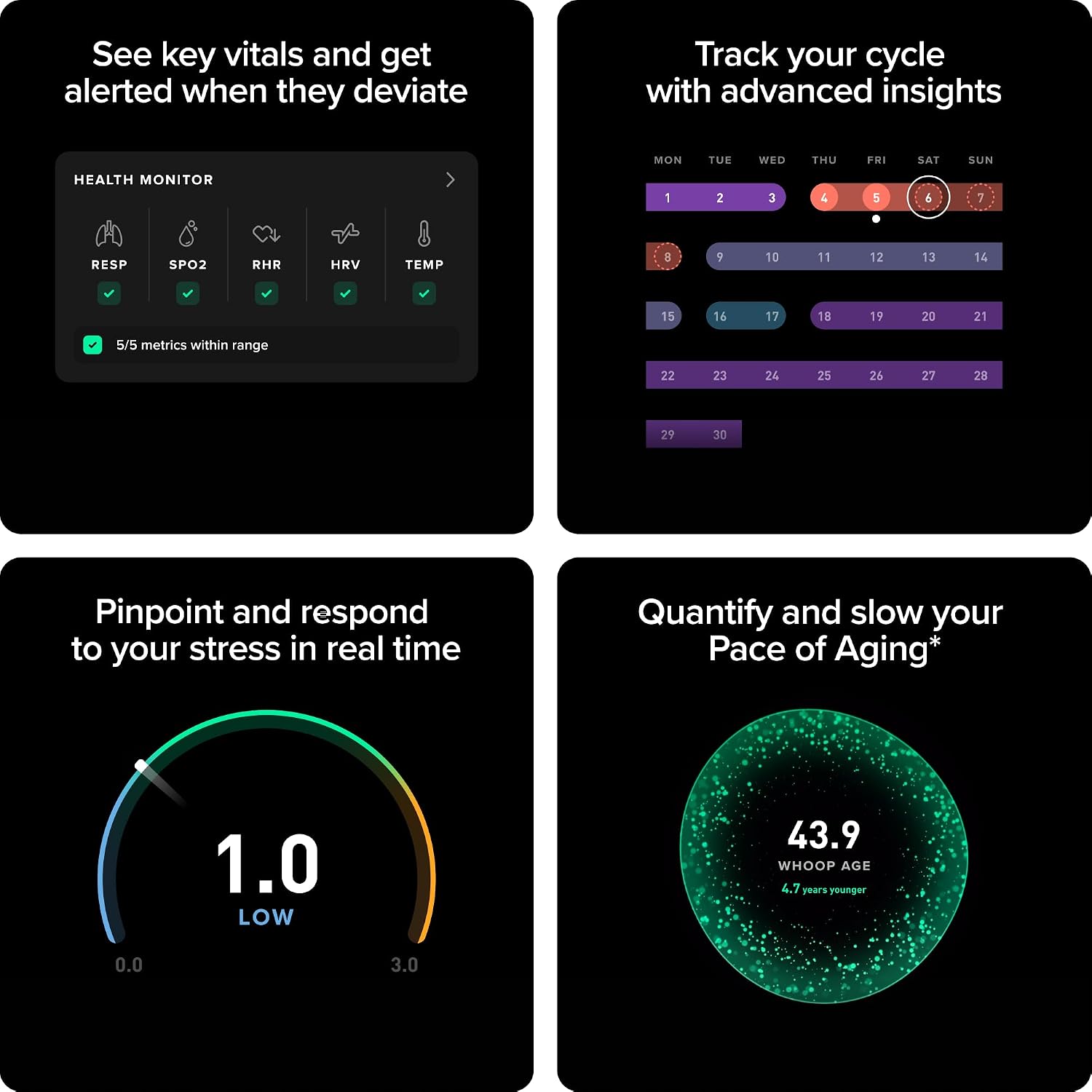WHOOP 5.0/MG Activity Tracker - 12 Month Membership - Health and Fitness Wearable – 24/7 Activity and Sleep Tracker, Personalized Coaching, Menstrual Cycle Insights – 14+ Days Battery Life