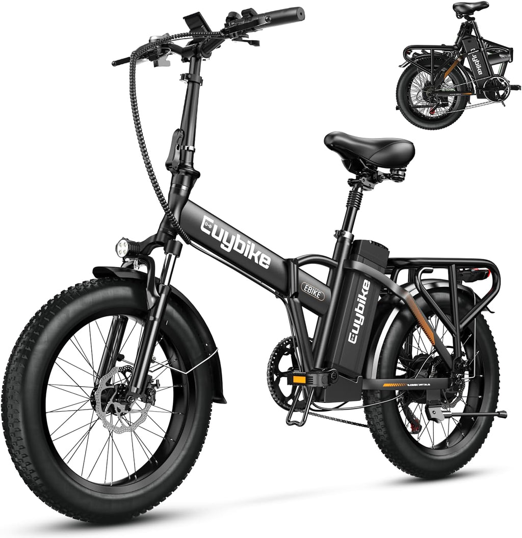 bluebiko 1000W Folding Electric Bike, 48V 20AH Large Removable Battery E Bike, 80 Miles Max Range, 20' Fat Tire Electric Bike for Adults, Adult Electric Bicycles for Commute Beach Snow