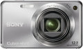 Sony Cyber-shot DSC-W290 12.1 MP Digital Camera with 5x Optical Zoom and Super Steady Shot Image Stabilization (Silver)