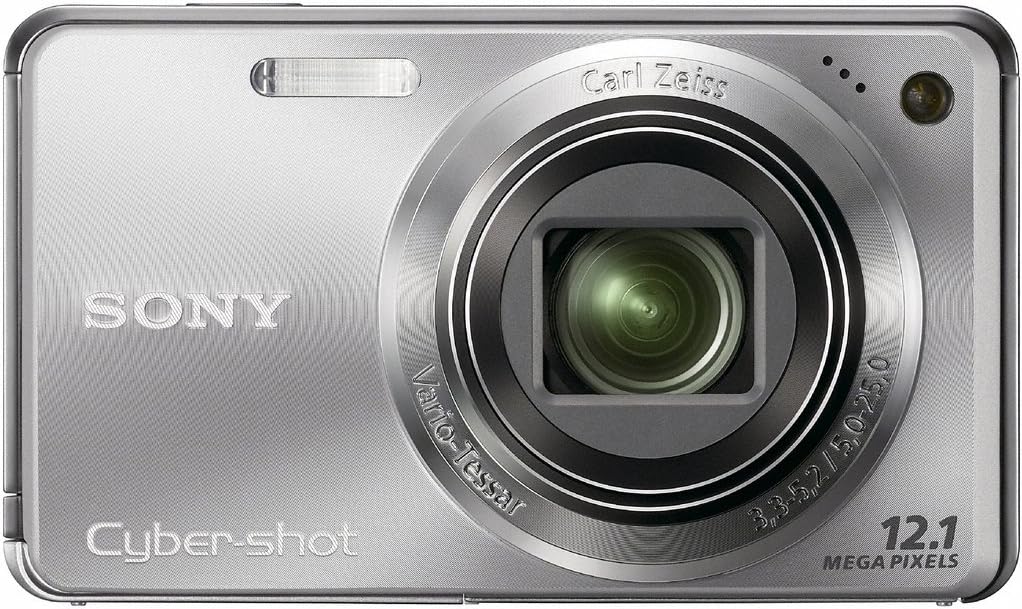 Sony Cyber-shot DSC-W290 12.1 MP Digital Camera with 5x Optical Zoom and Super Steady Shot Image Stabilization (Silver)