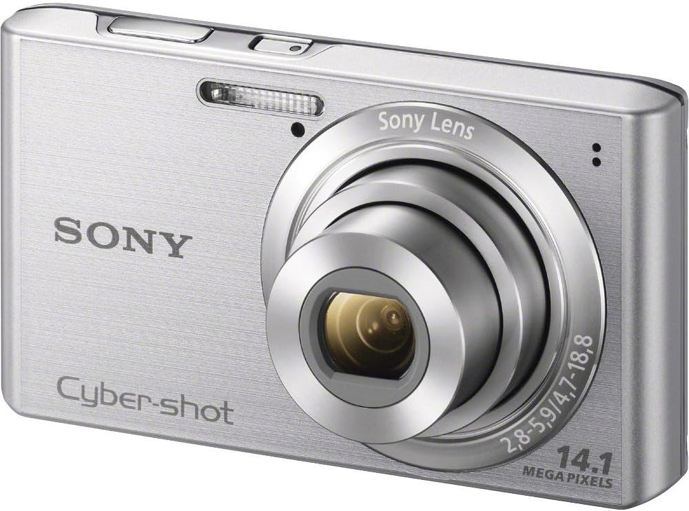 Sony Cyber-shot DSCW610 14.1 MP Digital Camera with 4x Optical Zoom and 2.7-Inch LCD (Silver) (2012 Model)