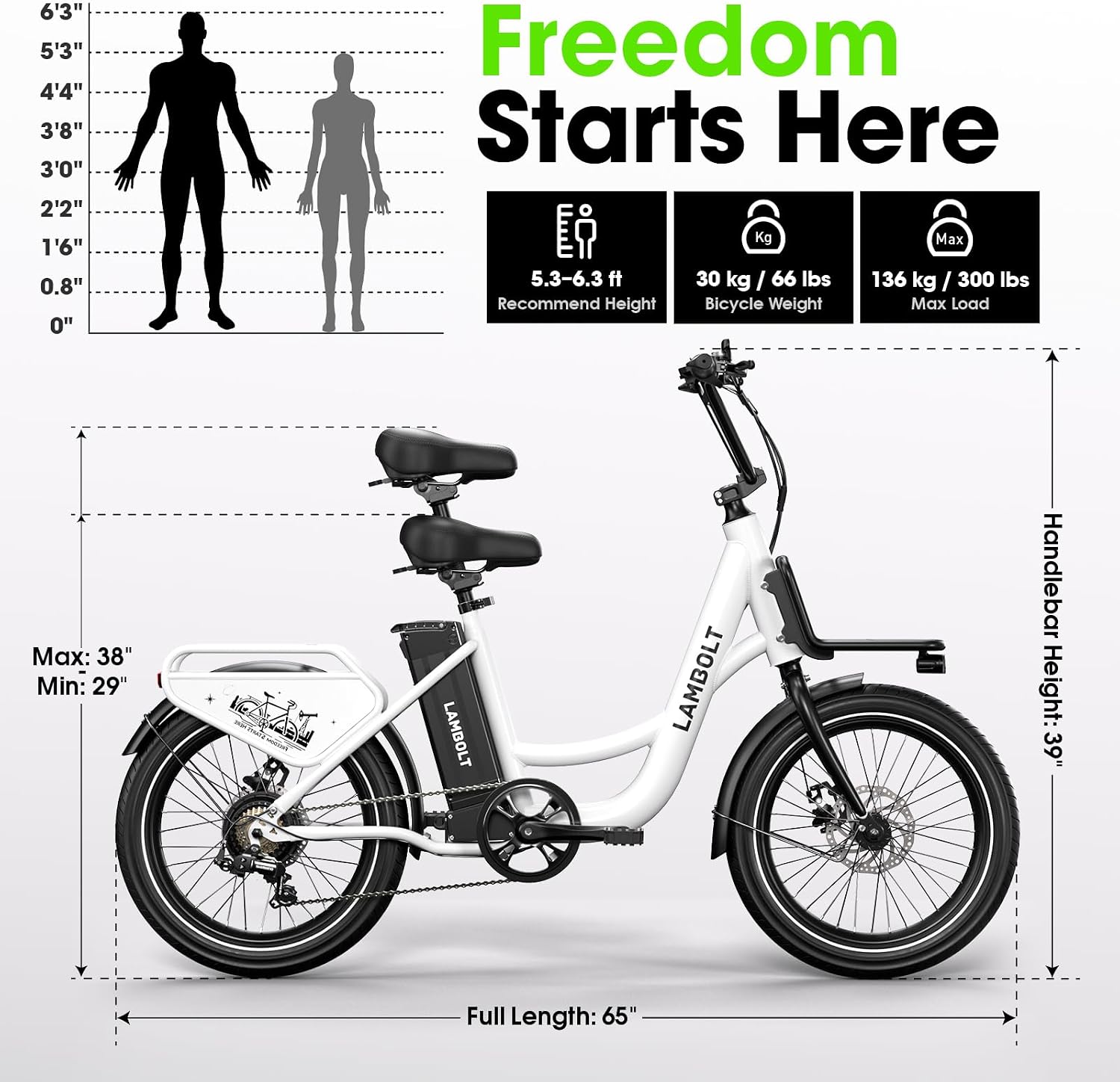 Electric Bike for Adults - 1000W Peak Motor Ebike with 48V15Ah Removable Battery, 20' x 3.0 Fat Tire Step-Thru 7-Speed Commuter Electric Bicycle, Up to 24 MPH, 70 Miles Range, UL 2849 Certified.