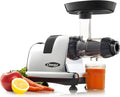 Omega Cold Press Juicer Machine, All-in-One Nutrition System for Vegetable and Fruit Juice, Nut Butter, Baby Food, Pasta and Sorbets, Triple-Stage 80-RPM Slow Masticating Juicer, 200-Watts, Chrome