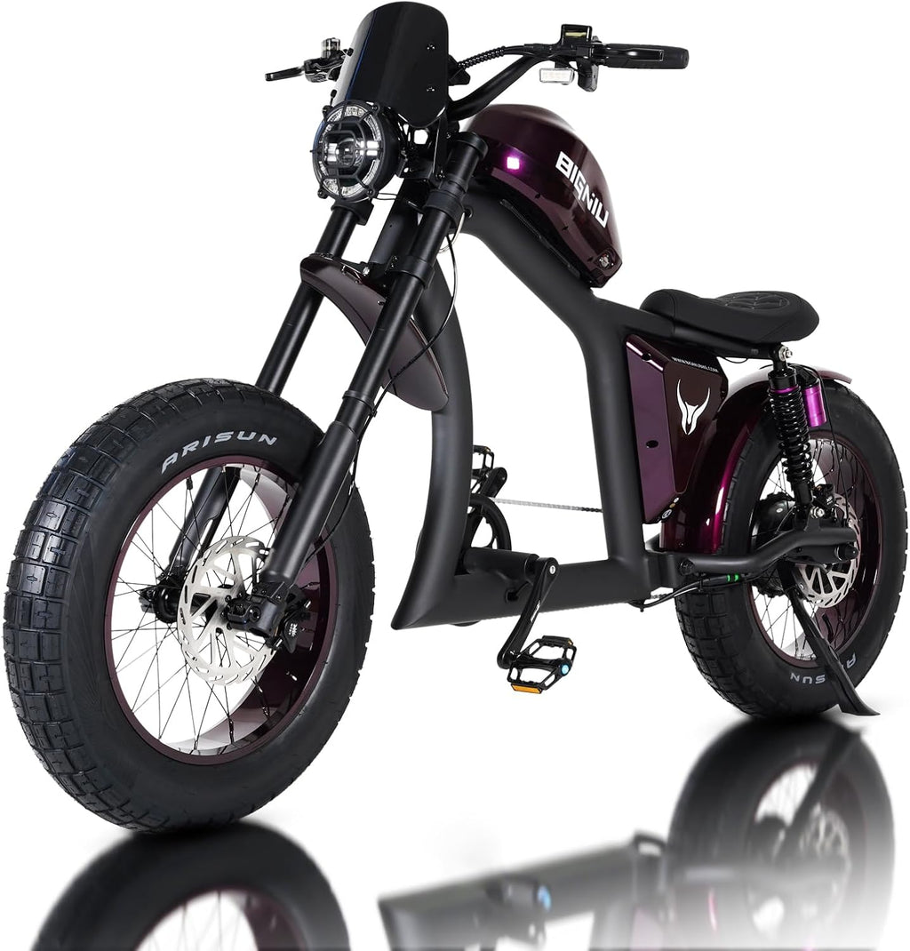 BIGNIU BG-X Electric Bike for Adults,1500W Brushless Motor 48V/31.5Ah Up to 40 Miles E-Bike Front/Rear Turn Signal Dual Suspension Ebikes