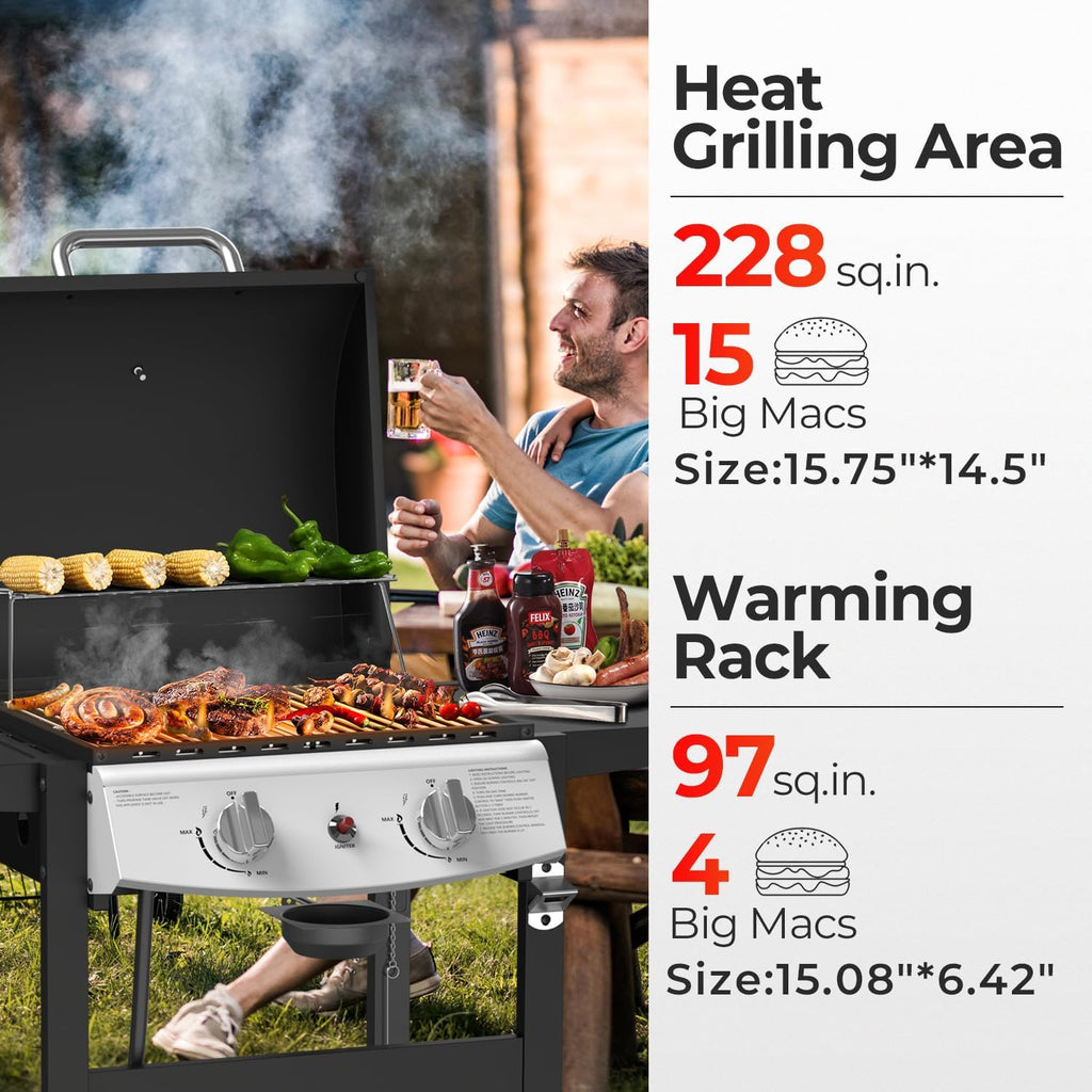 2-Burner Propane Gas Grill with Side Tables-20,000 BTU Stainless Steel Outdoor BBQ Grill,325 sq.in. Portable with Side Storage Shelves and Wheels for Patio, Campingfor Patio & Camping,Black
