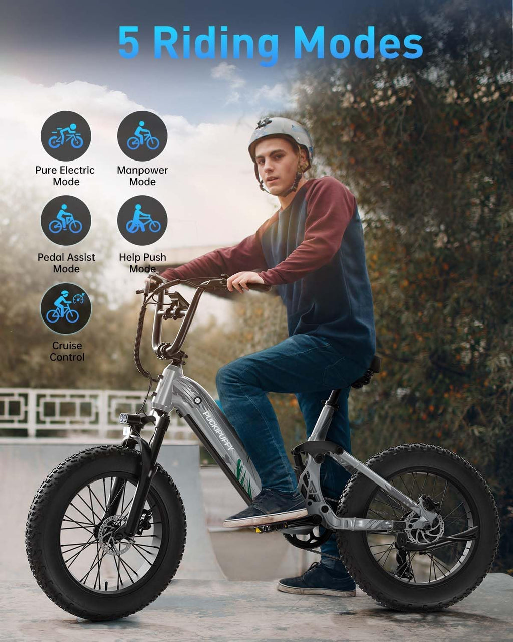 PUCKIPUPPY Electric Bike Mountain Ebike 20'' Fat Tire 7 Speed for Adults | 960W, 48V 20Ah Battery, Full Suspension, 28MPH, 80Miles Range, LCD Display