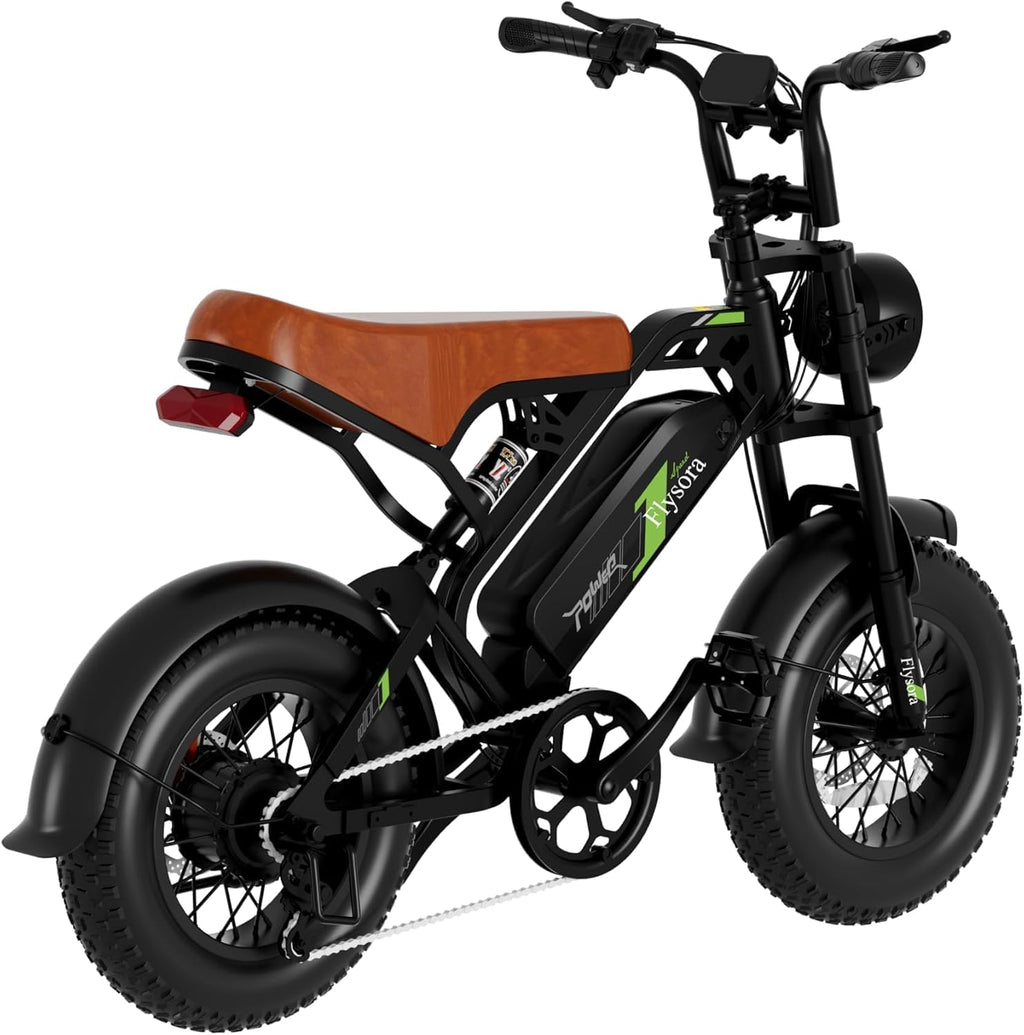 1000W Electric Bike for Adults,48V 15.6Ah Removable Battery,28MPH Top Speed,24-50 Mile Range,16'x4' Fat Tire,Double Shock Absorber,Dual Disc Brakes,High Carbon Steel Frame,UL Certified