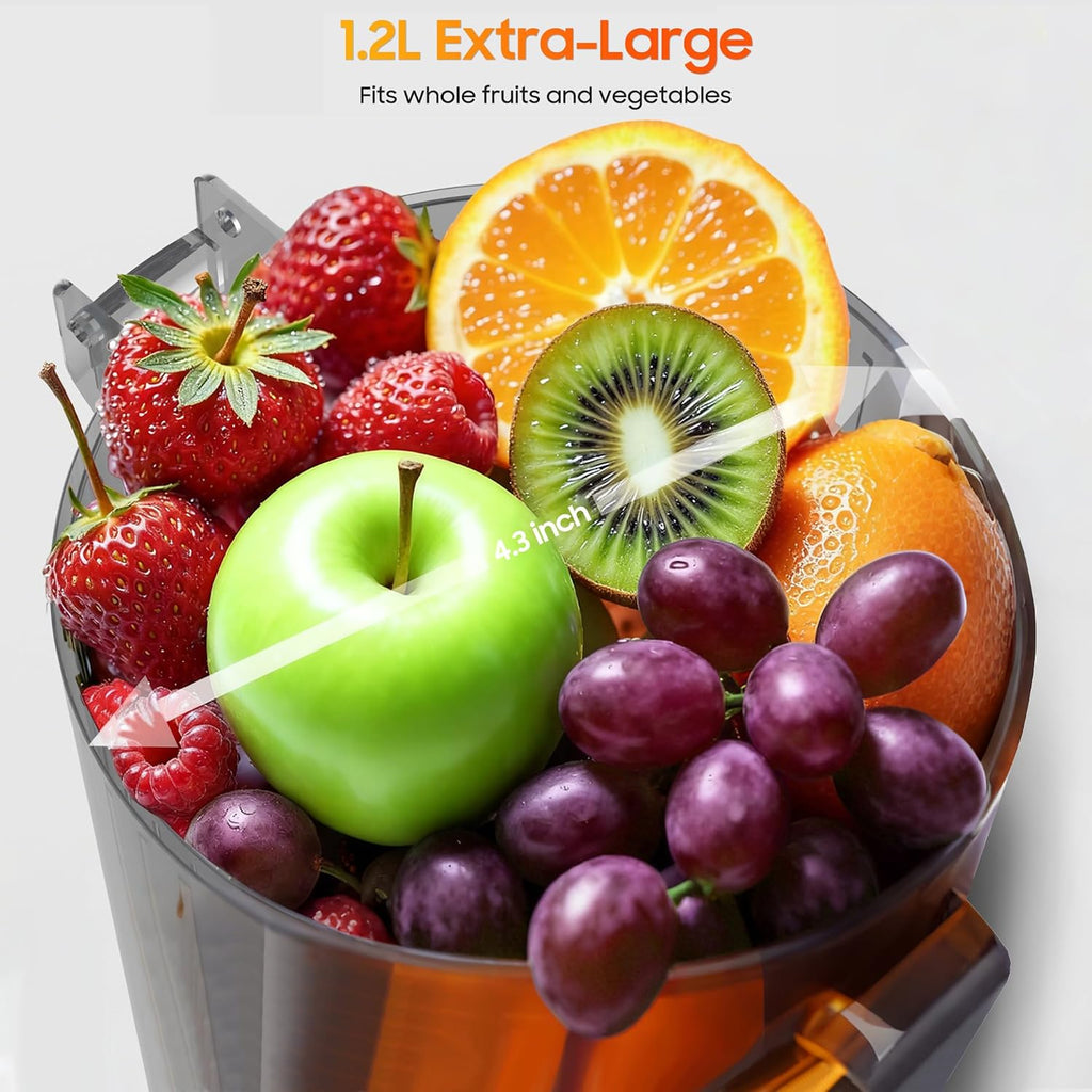 BPA Free Cold Press Juicer, Slow Juicer Machine Easy to Clean, Self-Feeding Masticating Juicer with Large Feed Chute for Whole Fruits and Vegetables, High Juice Yield, Gray