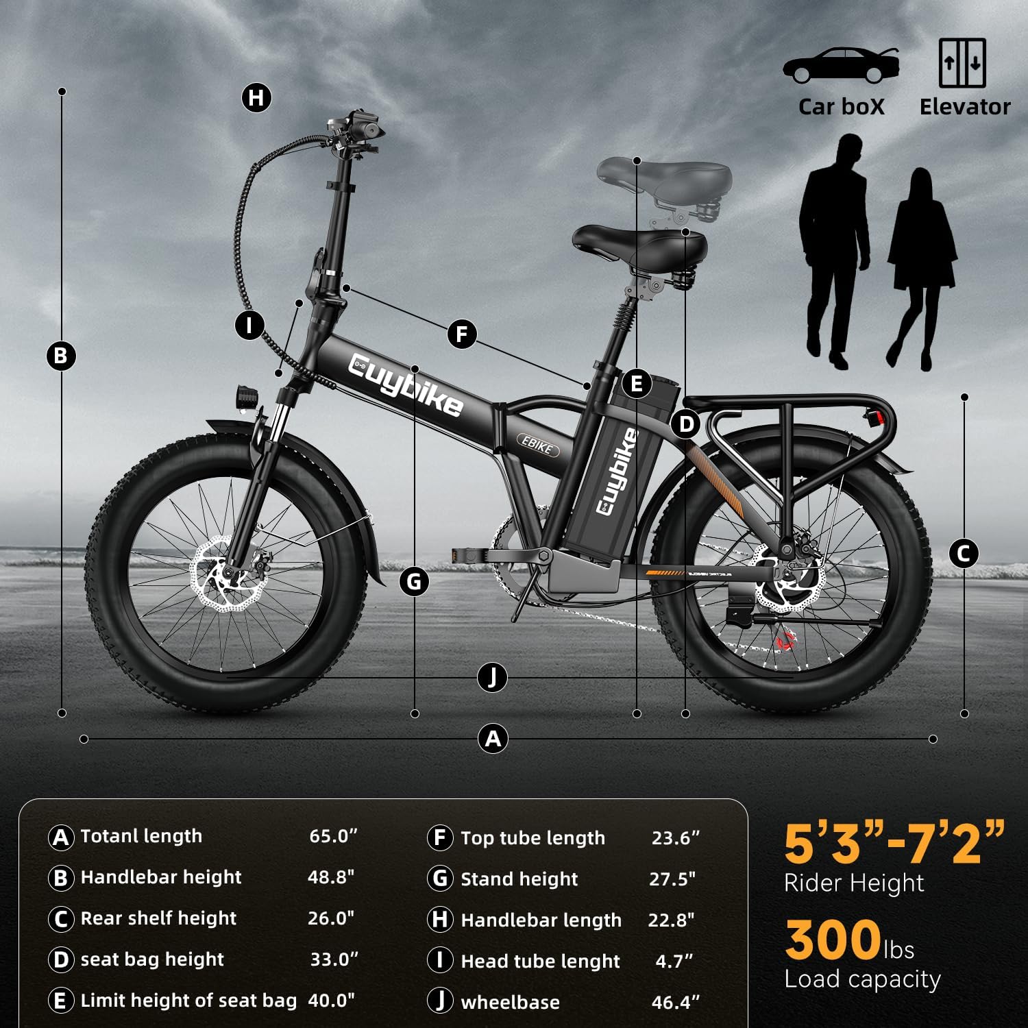 bluebiko 1000W Folding Electric Bike, 48V 20AH Large Removable Battery E Bike, 80 Miles Max Range, 20' Fat Tire Electric Bike for Adults, Adult Electric Bicycles for Commute Beach Snow