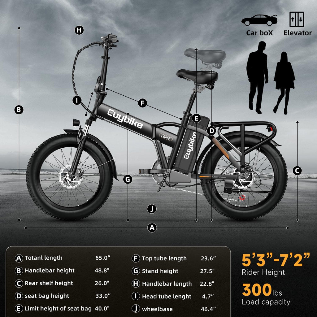bluebiko 1000W Folding Electric Bike, 48V 20AH Large Removable Battery E Bike, 80 Miles Max Range, 20' Fat Tire Electric Bike for Adults, Adult Electric Bicycles for Commute Beach Snow