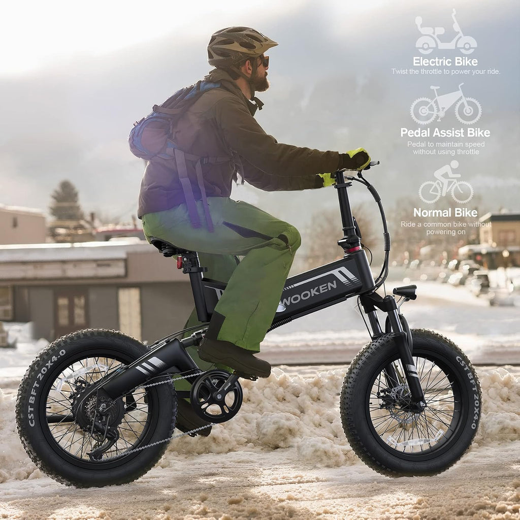TotGuard Electric Bike,20' Electric Bike for Adults 500W Brushless Motor, 19.8MPH Fat Tire Ebike,Foldable Adult Electric Bicycles with 48V 10Ah Removable Battery,7-Speed,SGS Certified to UL 2849