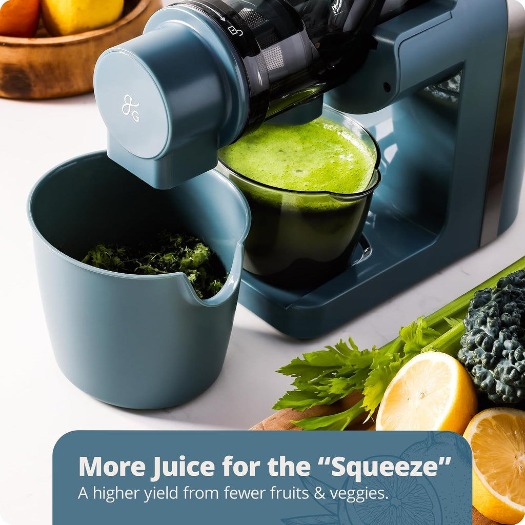 Greater Goods Cold Press Juicer, Powerful Slow Masticating Juice Extractor with Quiet Motor for Fruits and Vegetables, High Juice Yield, Easy to Clean, Stone Blue