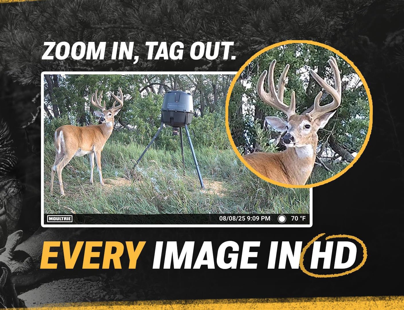Moultrie Edge Solar Cellular Trail Camera - 2 Pack – Integrated Solar Panel with Battery - 40MP - 1080p Video - Low-Glow Flash - Multi-Carrier Auto-Connect - Built-in Memory - 0.4s Trigger Speed