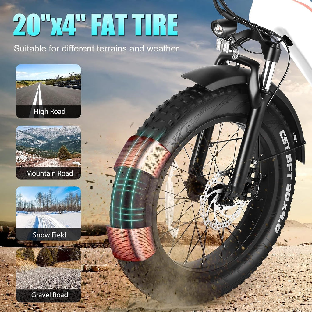 Wooken Electric Bike for Adults, 500W Motor Ebike,20'x4.0' Fat Tire Electric Bike,48V 624WH Removable Lithium-ion Battery,Up to 60 Miles,Step-Thru Electric Mountain Bike,SGS Certified to UL 2849