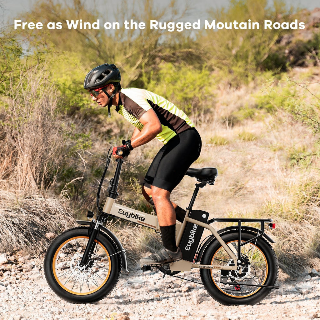 bluebiko 1000W Folding Electric Bike, 48V 20AH Removable Battery E Bike, 70 Miles Max Range, 20' Fat Tire Adults Electric Bike,7-Speed Ebike for City Commuting,Off-Roading,Mountain