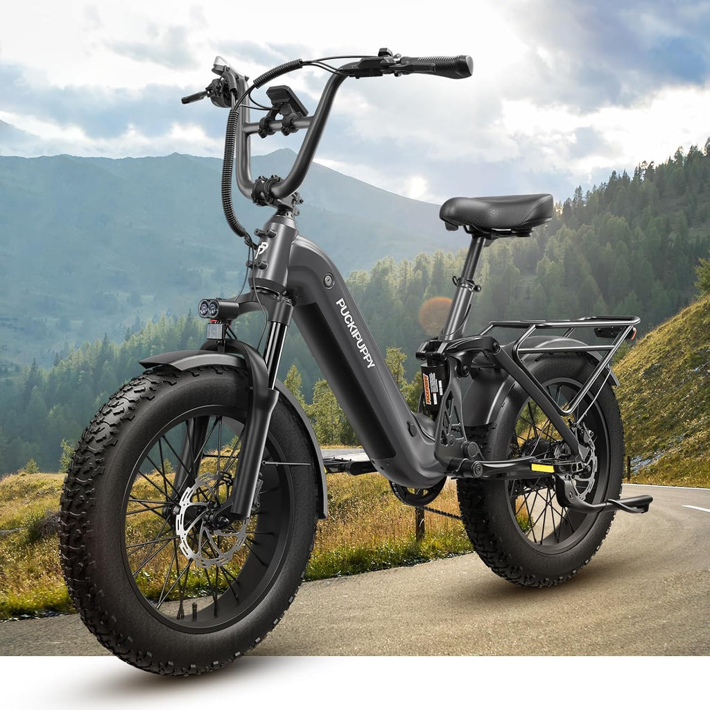 PUCKIPUPPY Electric Bike Mountain Ebike 20'' Fat Tire 7 Speed for Adults | 960W, 48V 20Ah Battery, Full Suspension, 28MPH, 80Miles Range, LCD Display