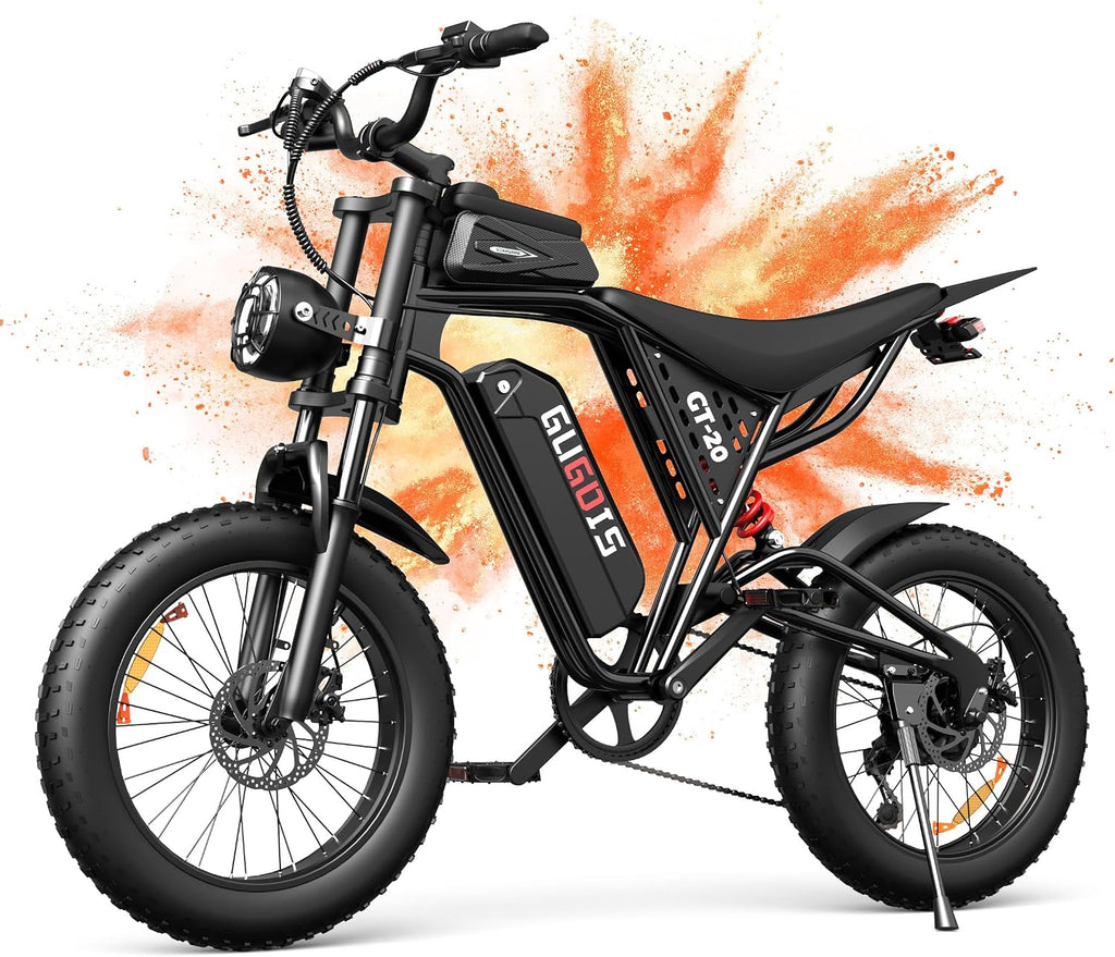 Rakowe Electric Bike for Adults, 1000W-2000W Peak, 20' Fat Tire Electric Dirt Bike, 48V Removable Battery, Up to 30-34MPH & 45-80 Miles, Full Suspension, Dual Disc Brakes, 7-Speed All-Terrain E-Bike